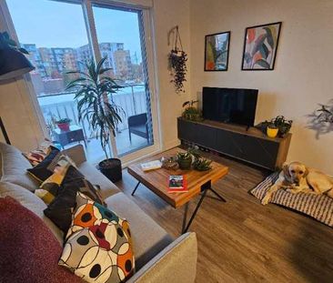 3 et demi à céder - Photo 3