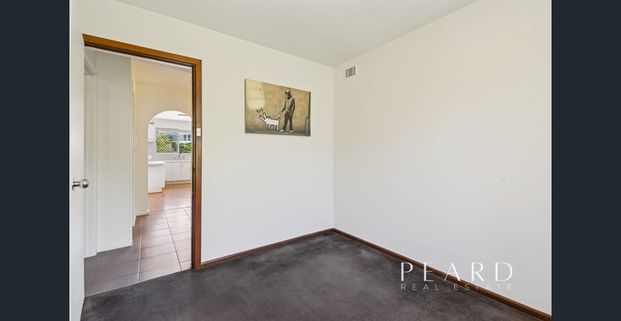 SUN, SAND & SURF - Photo 1