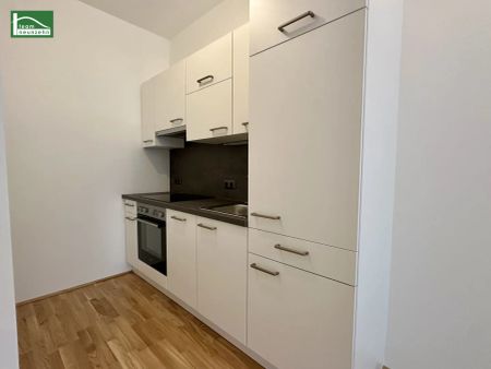 Lichtdurchflutete 2-Zimmer Wohnung bei der Alten Donau - ab 01.06.2026 verfügbar! - Photo 4