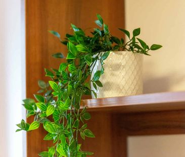 Premium Ensuite - Photo 6