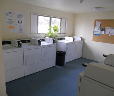 Furnished studio in Mt Cook - Photo 1