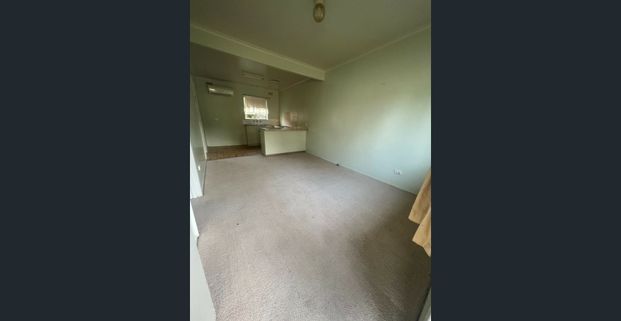 1 Bedroom Unit - Photo 1
