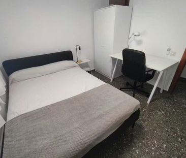 Avinguda de Blasco Ibáñez, Valencia, Valencian Community 46010 - Photo 2