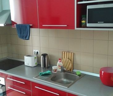 Vacaresti, Tineretului, Mihai Bravu, - Photo 5