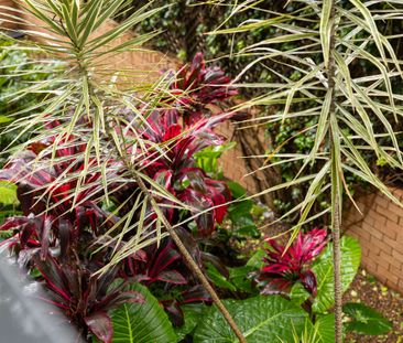 5/10-12 Clement Street, Rushcutters Bay NSW 2011 - Apartment For Re... - Photo 6