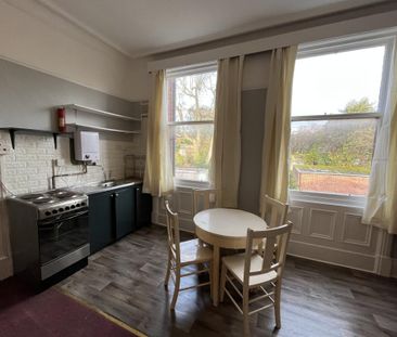 Flat 2 Woodhouse Cliff, Leeds, LS6 - Photo 5