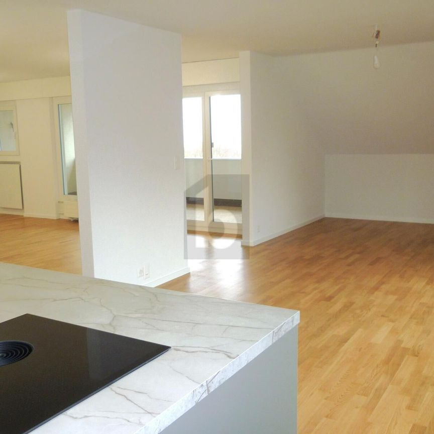 CONFORTABLE, SPACIEUX & WITH PANORAMA SUR LE LAC - Photo 1