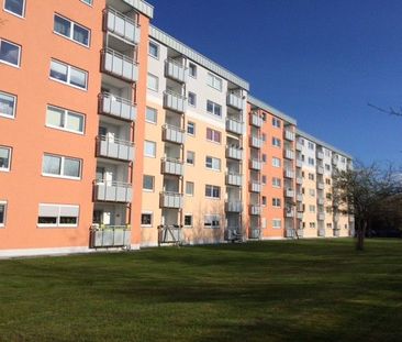 Erstbezug im November 2024 möglich: sanierte 3-Zimmer Wohnung in Altenholz - Foto 3