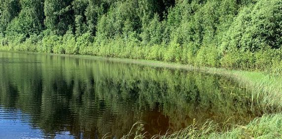 Ringvägen 4C - Foto 2