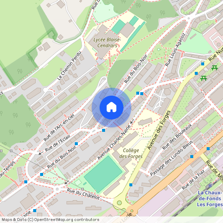 La Chaux-de-Fonds (Rue du Bois-Noir 31), Suisse