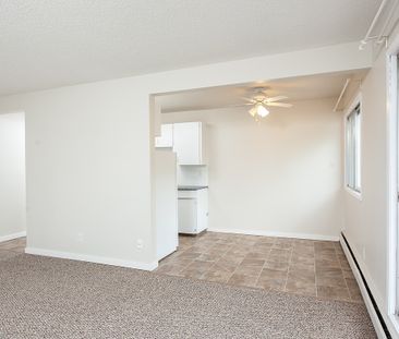 Diplomat Manor - Photo 5