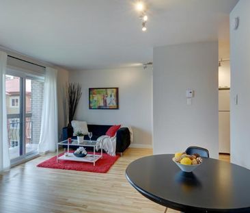 Appartement 3 ½ à louer Vanier juillet 2026 - Photo 3