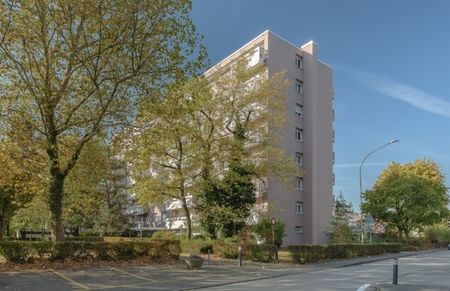 Vivre de prestige au-dessus des toits de Birsfelden - Foto 5