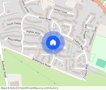 Actis Road, Glastonbury - Photo 1