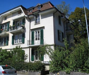 Stylish old building apartment - Foto 3