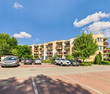 Bądź pierwszym najemcą - Stawki, blisko Starówki - Zdjęcie 6