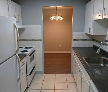 2 Bed 2 Ba + 2 Park (Condo) Internet Included - Available Jan 1st 2024 - Photo 3