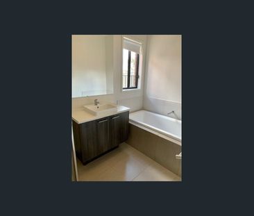 Modern and Spacious Family Home with Park Views - Photo 1