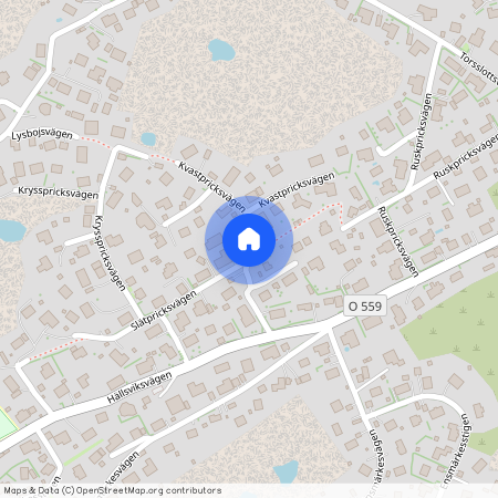 Kvastpricksvägen, Torslanda