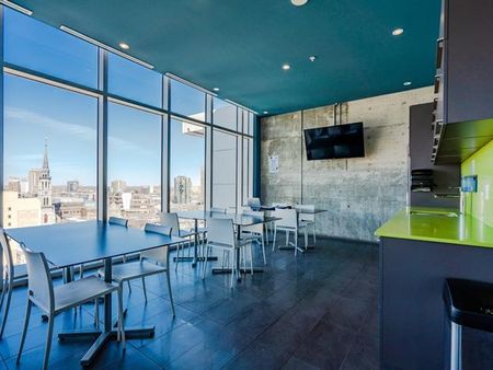 1150 Rue St Denis - Photo 5