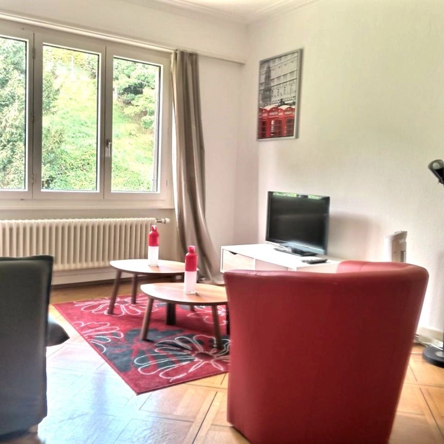 Bel appartement meublé à Lausanne / 3.5P / 2 CHB / 1 SDB / 1 Balcon - Photo 1