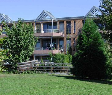 3.0 Zimmerwohnung in Ramsen - Photo 4