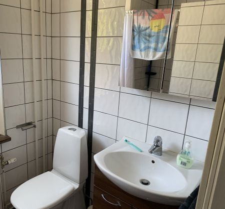 Viktoriagatan 11, Landskrona Centrum - Foto 5
