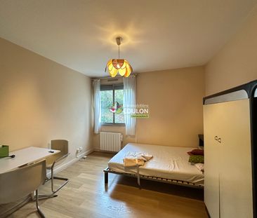 Appartement meublé - 1 pièce - Jardin Lecoq/Facultés - Photo 6