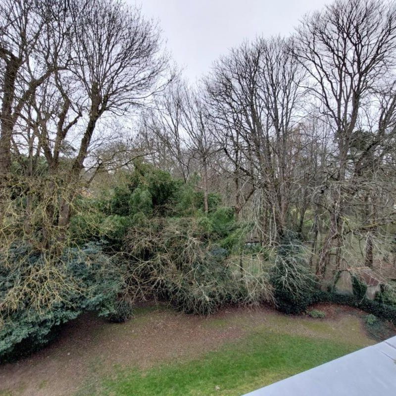 Appartement T3 à louer Orvault - 69 m² - Photo 1