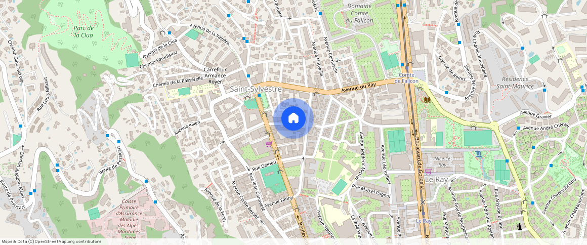 ALPES-MARITIMES (06), - PROVENCE-ALPES-COTE-D-AZUR, NICE (06100)