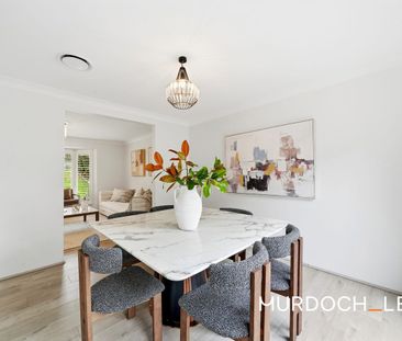 North-Facing Family Living in a Quiet Castle Hill Pocket - Photo 6