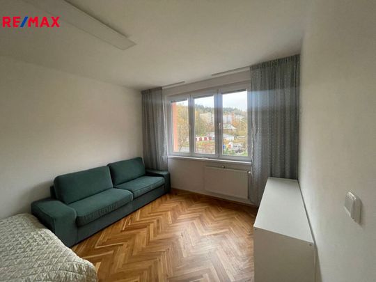 Pronájem bytu 1+1 v osobním vlastnictví 36 m², Nejdek - Photo 1
