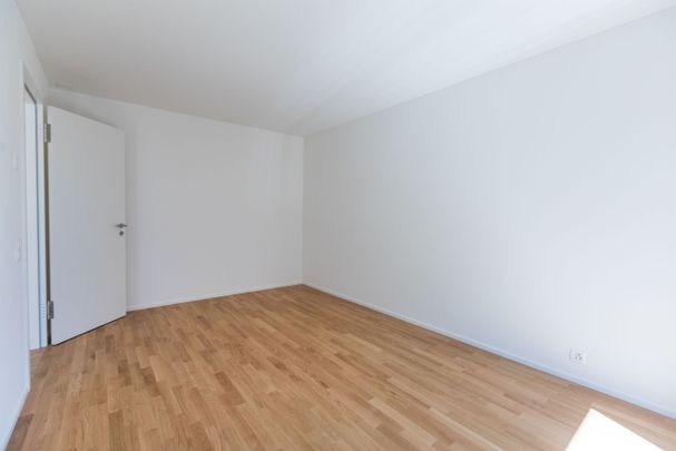 Residenza Radice - moderno 2.5 locali al pianterreno - Photo 1