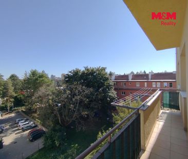 Pronájem bytu 2+1 48 m², Svatopluka Čecha 1951, Brno Královo Pole - Photo 4