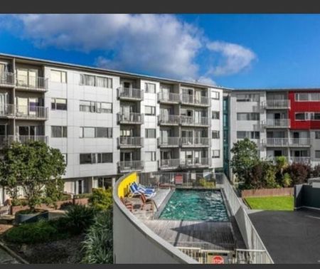 Affordable Rental in the Heart of Takapuna - Photo 2