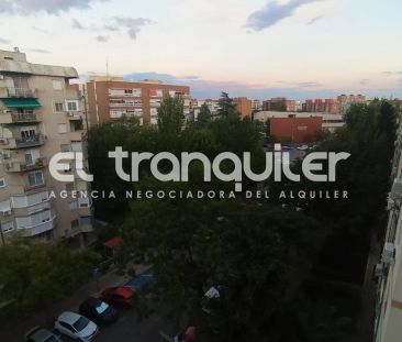 Madrid - Foto 4
