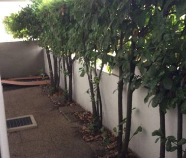 Appartement 2 pièce(s) - Photo 2