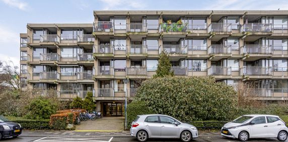 Te huur: Van Bijnkershoeklaan 98 - Foto 2