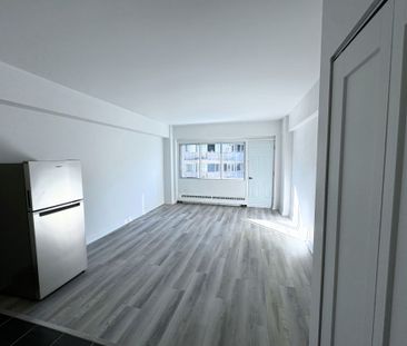 Renovated studio available NOW – 175 Sherbrooke O - Photo 2