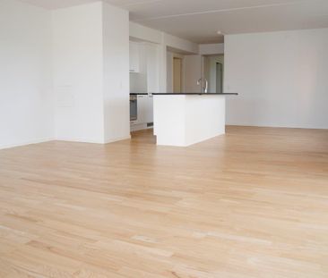 Møgelparken - Foto 1