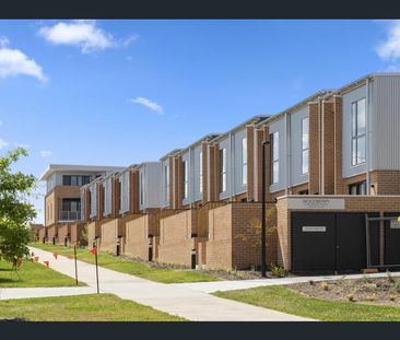 26/22 Cornelius Street, Coombs ACT 2611 - Apartment For Rent | Domain - Photo 3