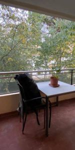 Location appartement 1 pièce 25.9 m² à Montpellier (34000) - Photo 4