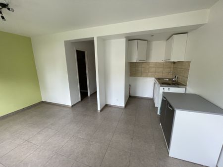 Location Appartement 1 pièce 23m² BRIOUDE 43100 - Photo 4