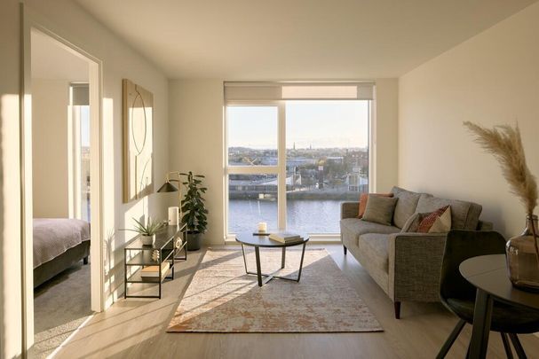 1 bedroom apartment to rent - Photo 1