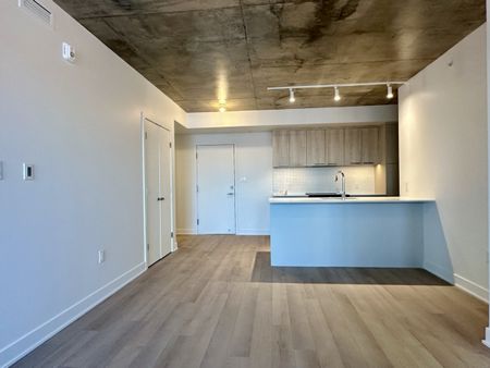 30 Avenue Joseph Lafléche, #502 - Photo 3