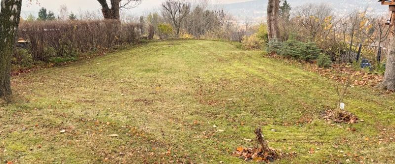 Charmante 3-Raum-Wohnung in einer sanierten Jugendstil-Villa - beste Wohnlage von Annaberg-Buchholz - Foto 1