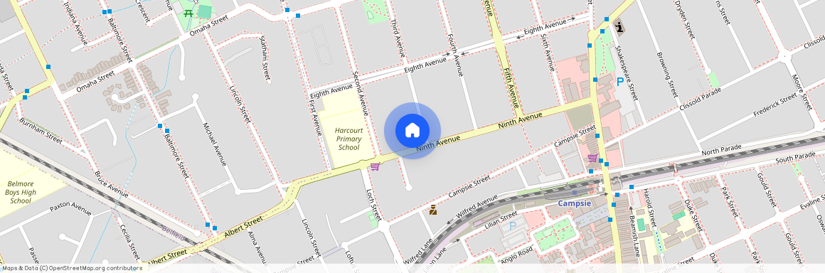 85 Ninth Avenue, NSW 2194, Campsie