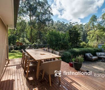 FAMILY FRIENDLY HOME OPPOSITE BELGRAVE LAKE PARK - Photo 6