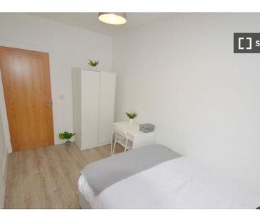 Room for rent in 4-bedroom apartment in Drimnagh, Dublin - Photo 1