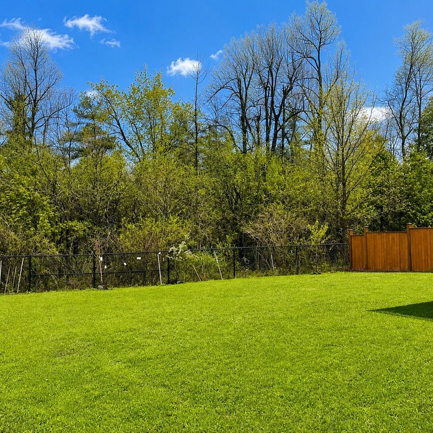 For Lease - 77 Lady Nadia Drive, Vaughan, Ontario - Photo 2